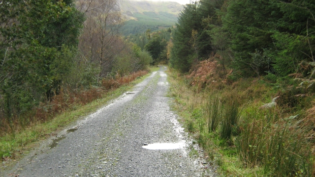a gravel track runs between trees and scrubland with a valley in the background